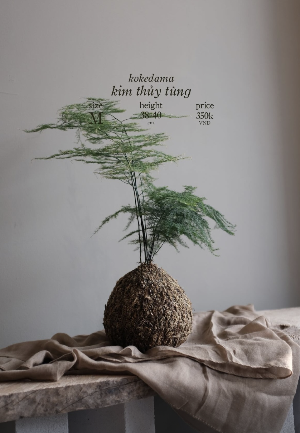 Screenshot 2024-08-22 at 12.03.03 PM